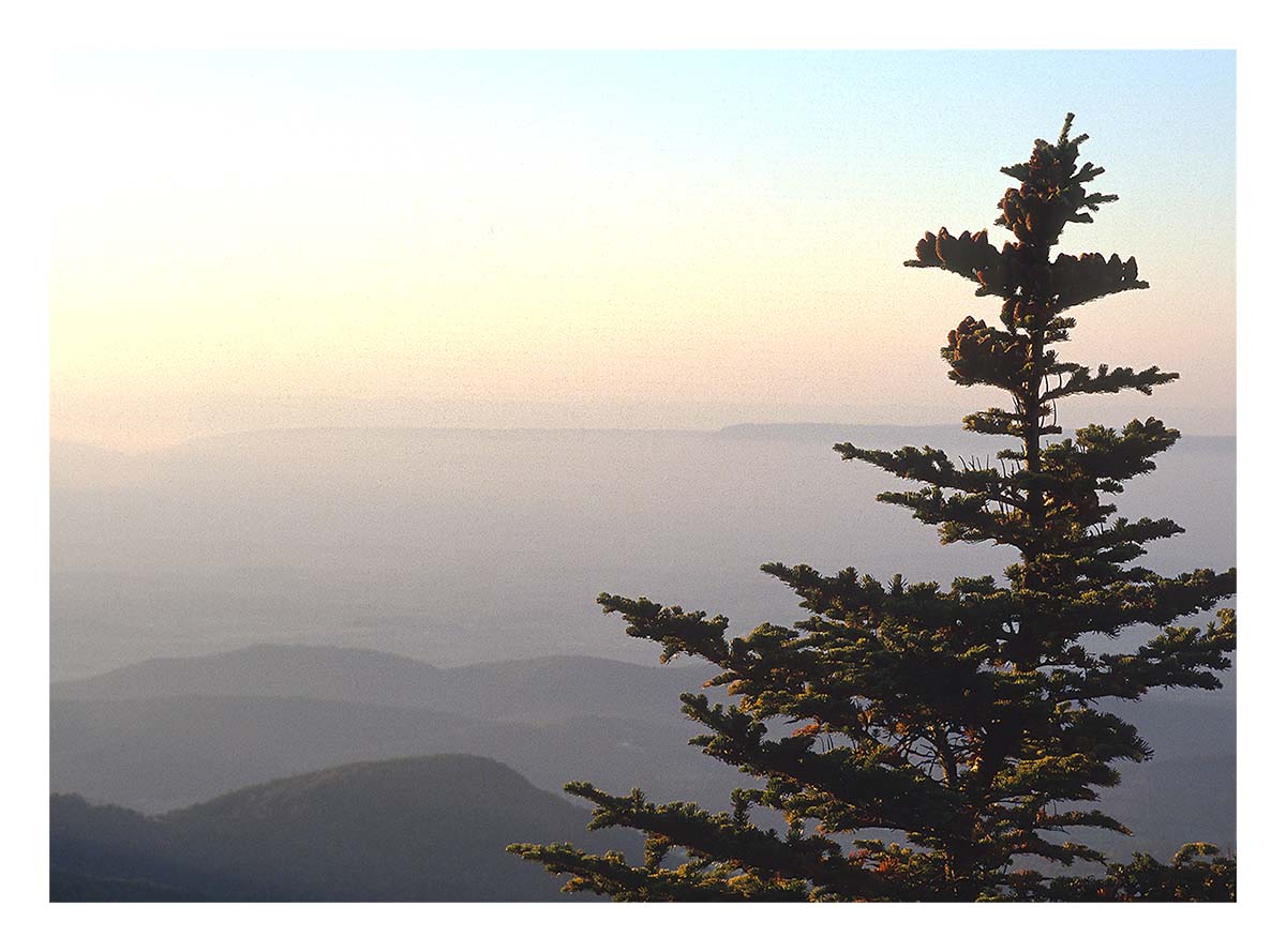 Shenandoah NP